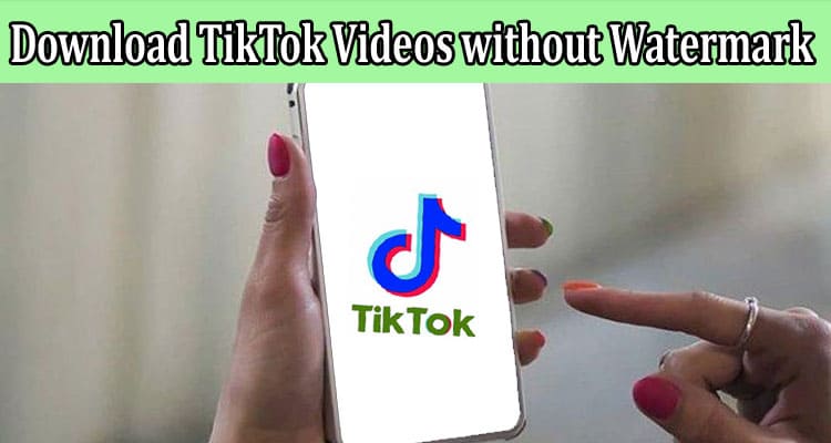 Download TikTok Videos without Watermark using Downloader Tool